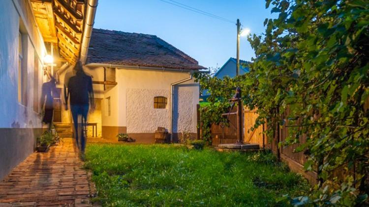 Cejkovicky Domek Cejkovice  Extérieur photo